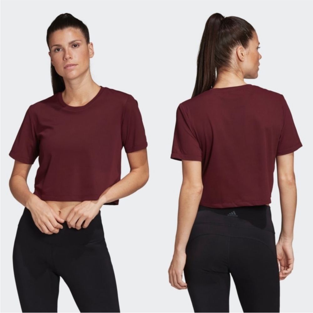 Adidas x Universal Standard Cropped Mesh Tee xs